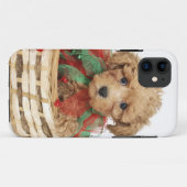 Poodelpuppy zittend in kerstmand Case-Mate iPhone case (Achterkant (horizontaal))