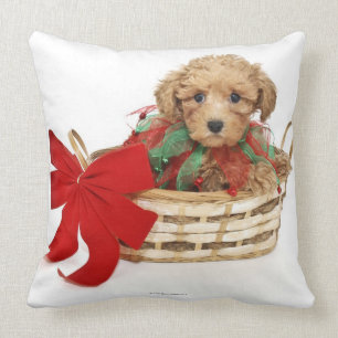 Poodelpuppy zittend in kerstmand kussen
