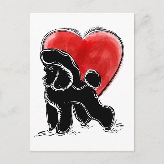Poodeltekening Briefkaart (Voorkant)