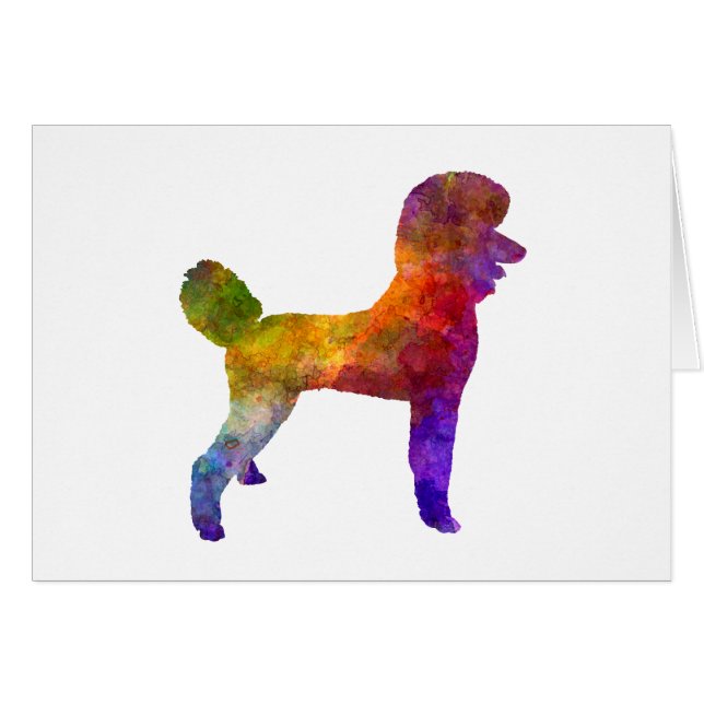 Poodle 01 in watercolor (Voorkant Horizontaal)