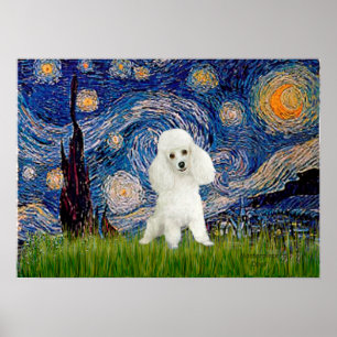 Poodle (14W) - Sterrennacht Poster