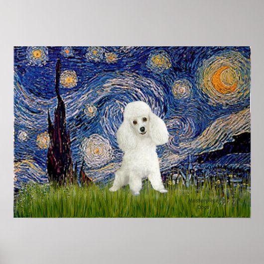 Poodle (14W) - Sterrennacht Poster (Voorkant)