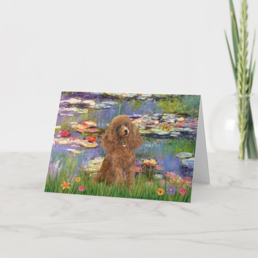 Poodle (Abrikoos 10) - Lelies 2 Kaart (Voorkant)
