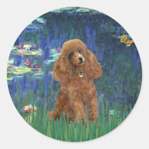 Poodle (Abrikoos 10) - Lelies 5 Ronde Sticker