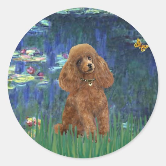 Poodle (Abrikoos 10) - Lelies 5 Ronde Sticker (Voorkant)