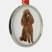 Poodle - Abrikoos Metalen Ornament (Rechts)