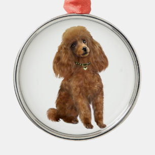 Poodle - Abrikoos Metalen Ornament
