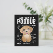 Poodle Anatomy Funny Dog Briefkaart (Staand voorkant)