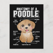 Poodle Anatomy Funny Dog Briefkaart (Voorkant)