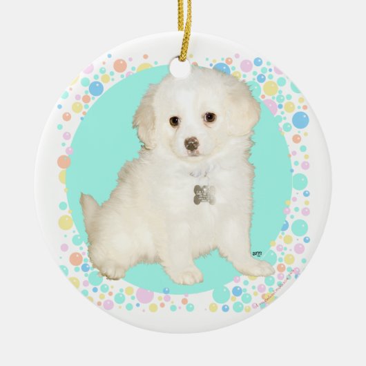 Poodle/Bichon Mix Puppy Celebrates Life Keramisch Ornament (Voorkant)