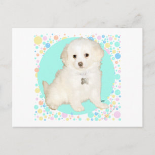 Poodle / Bichon Mix Puppy viert het leven Briefkaart