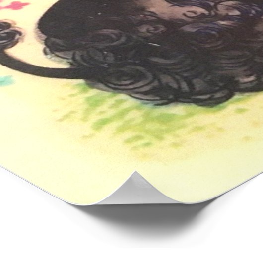  poodle bij ijdelheid poster (Hoek)