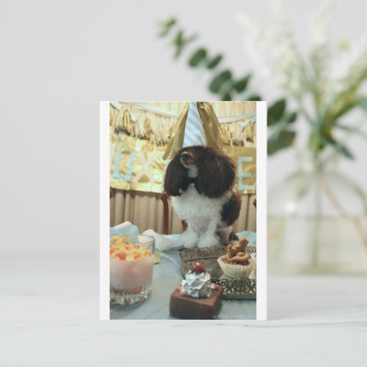 Poodle Birthday Briefkaart (Staand voorkant)