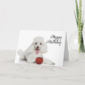 Poodle Birthday Kaart (Voorkant)