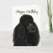 Poodle Birthday Kaart (Voorkant)
