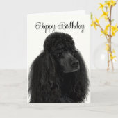Poodle Birthday Kaart (Gele Bloem)