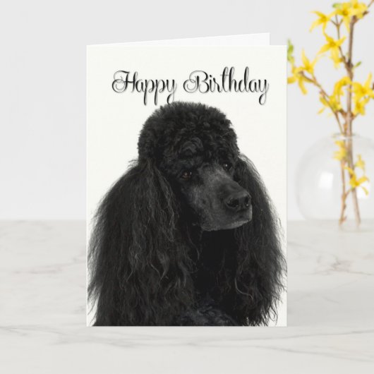Poodle Birthday Kaart (Gele Bloem)