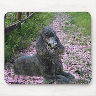 Poodle Black Mousepad Purple Flowers Muismat