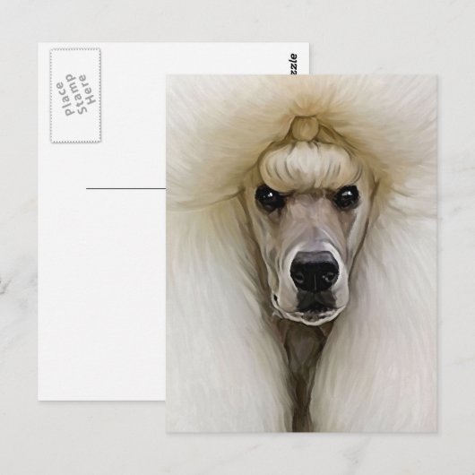 Poodle Briefkaart (Voorkant / Achterkant)