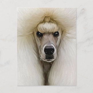 Poodle Briefkaart