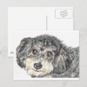POODLE BRIEFKAART (Voorkant / Achterkant)