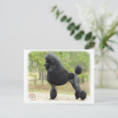 Poodle Briefkaart (Staand voorkant)