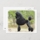 Poodle Briefkaart (Voorkant / Achterkant)