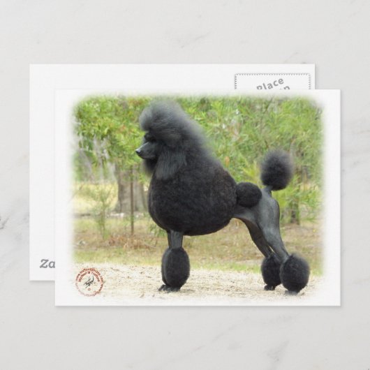 Poodle Briefkaart (Voorkant / Achterkant)