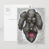 Poodle Briefkaart (Voorkant / Achterkant)