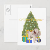 Poodle Briefkaart (Voorkant / Achterkant)