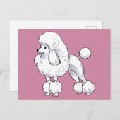 Poodle Briefkaart (Voorkant / Achterkant)