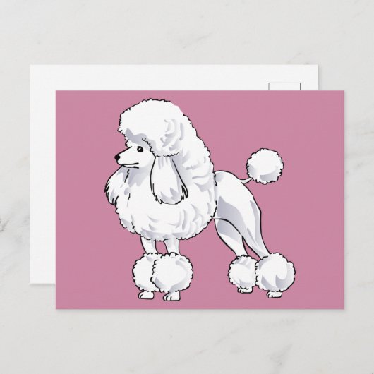 Poodle Briefkaart (Voorkant / Achterkant)
