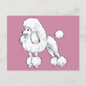 Poodle Briefkaart (Voorkant)