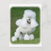 Poodle Briefkaart (Voorkant)
