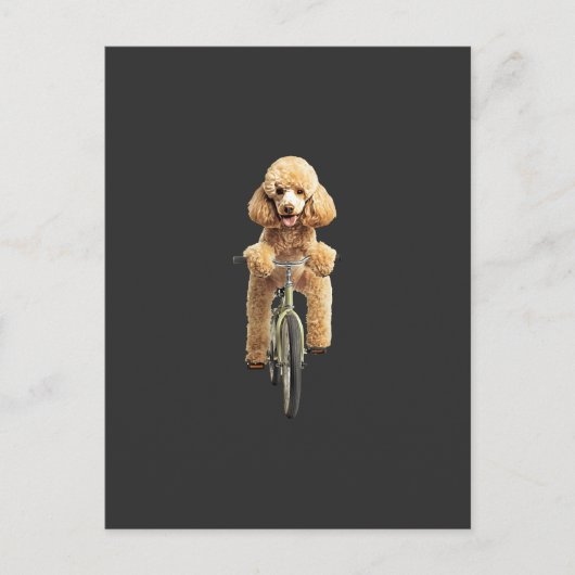 Poodle briefkaart (Voorkant)