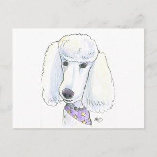 Poodle Briefkaart