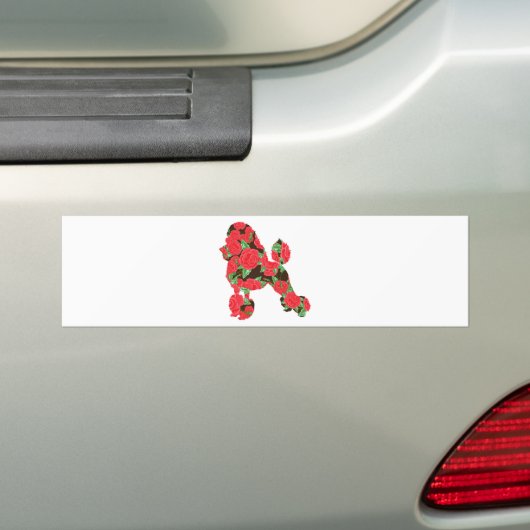 Poodle Bumpersticker (Op auto)