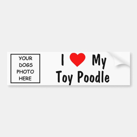 Poodle Bumpersticker (Voorkant)
