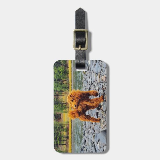 Poodle -  cadeau bagagelabel (Voorkant verticaal)