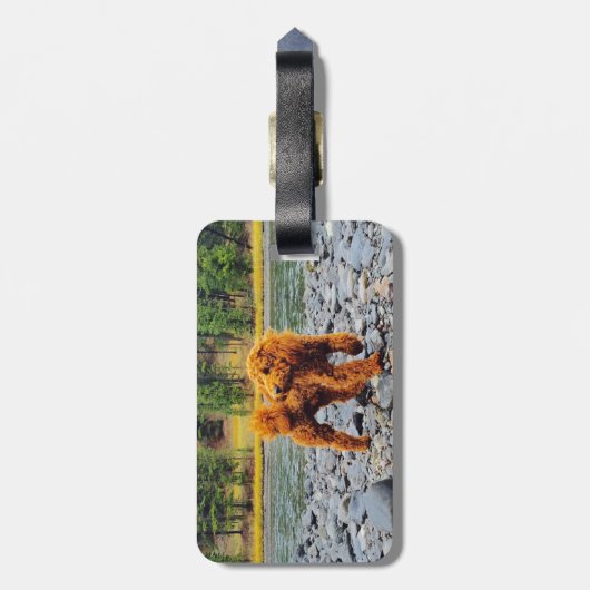 Poodle -  cadeau bagagelabel (Achterkant verticaal)