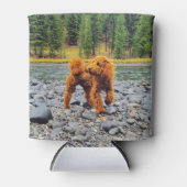 Poodle -  cadeau blikjeskoeler (Voorkant)