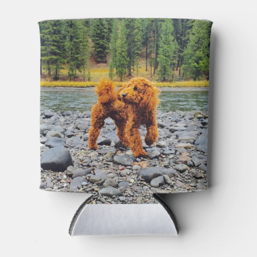 Poodle -  cadeau blikjeskoeler (Voorkant)