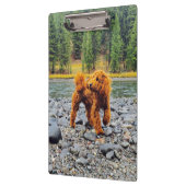 Poodle - cadeau klembord (Links)