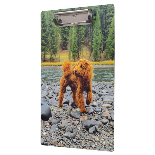 Poodle -  cadeau klembord (Links)