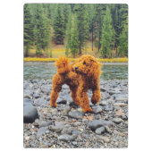 Poodle - cadeau klembord (Achterkant)