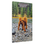 Poodle - cadeau klembord (Rechts)