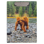 Poodle -  cadeau klembord (Voorkant)
