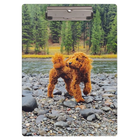 Poodle - cadeau klembord (Voorkant)