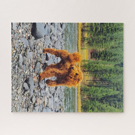 Poodle -  cadeau legpuzzel (Horizontaal)