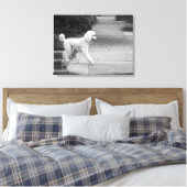 Poodle Canvas Afdruk (Insitu (Slaapkamer))